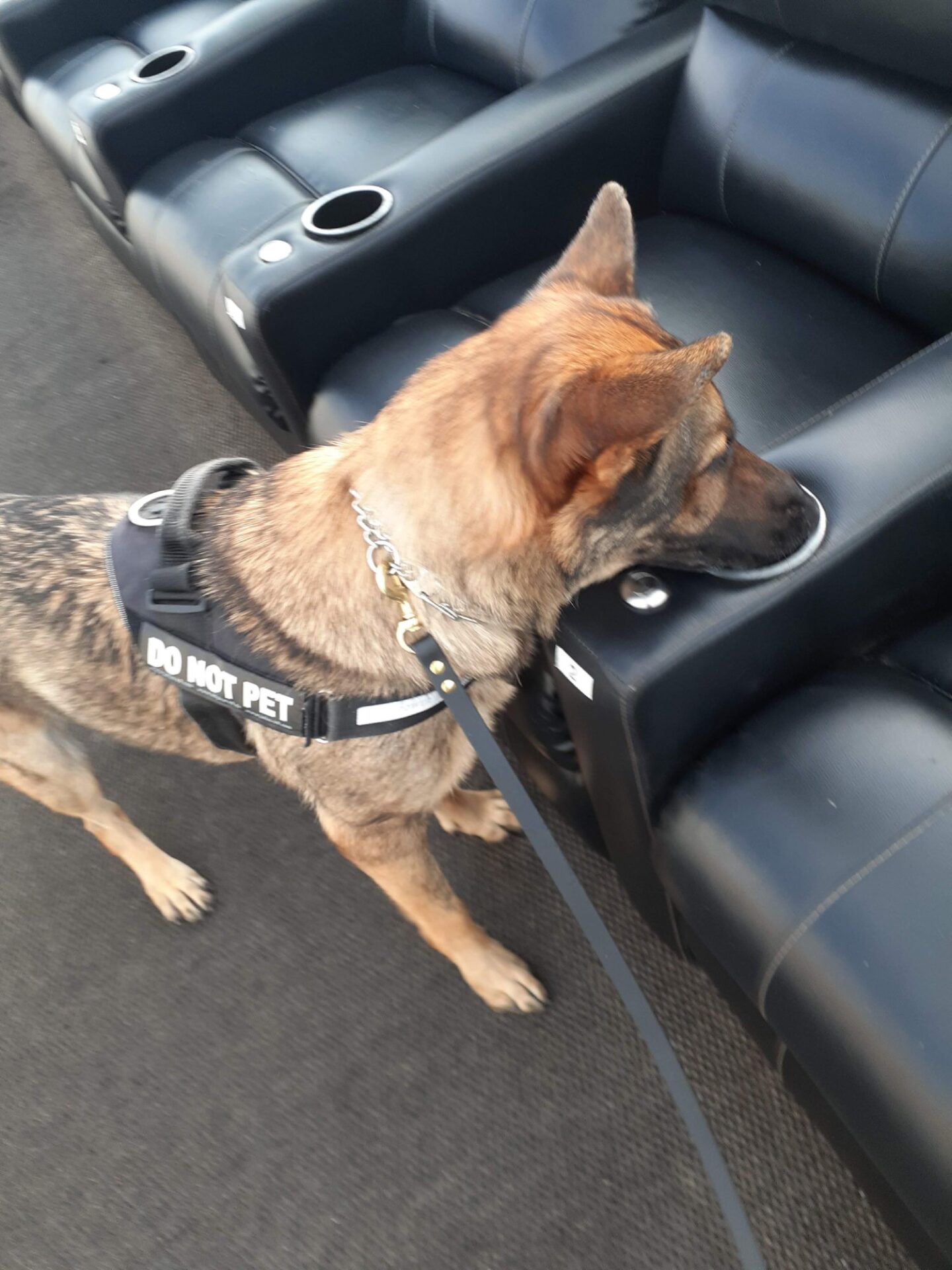 Kristy Moats Foundation for K9 Care