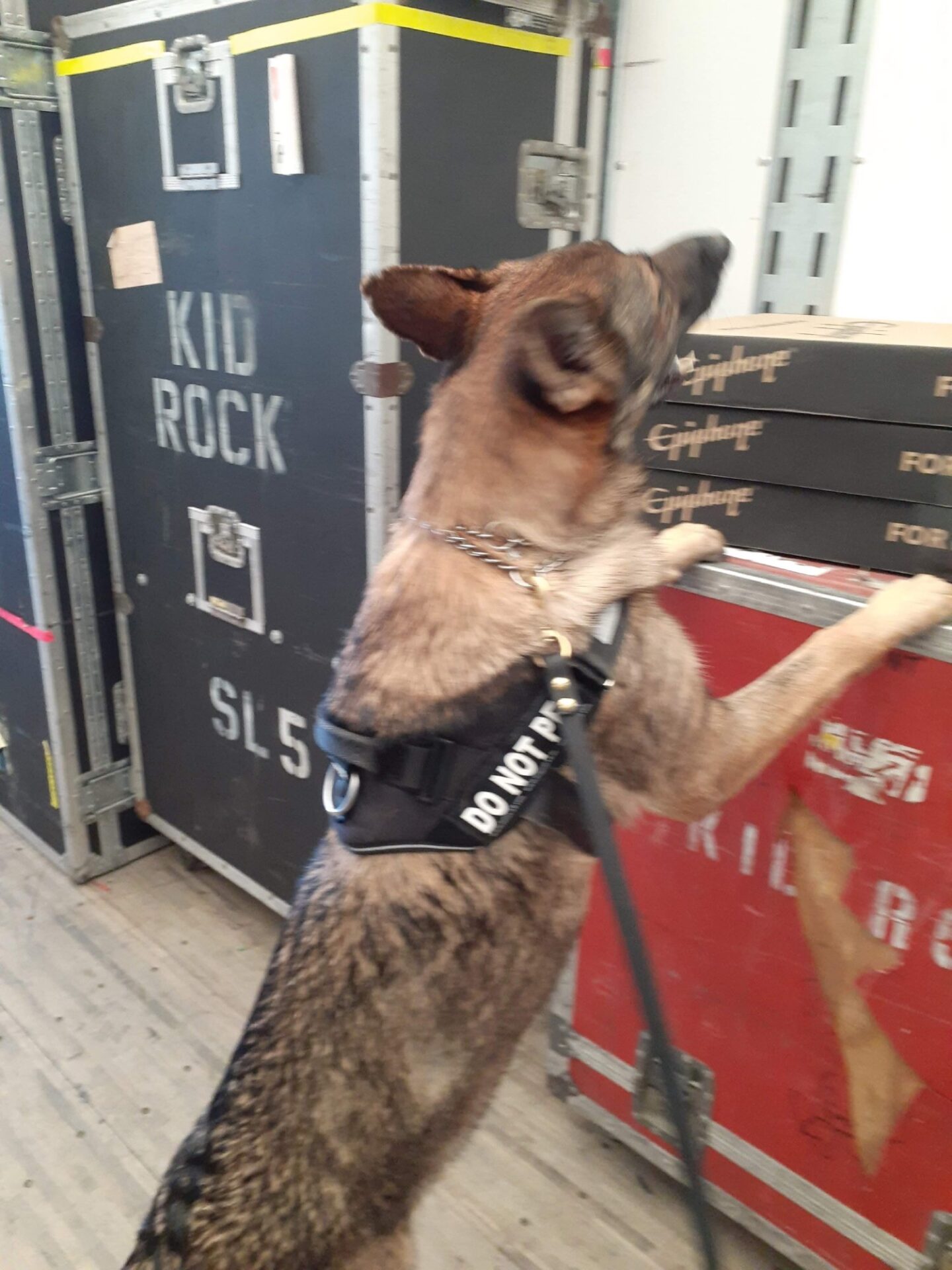 Kristy Moats Foundation for K9 Care