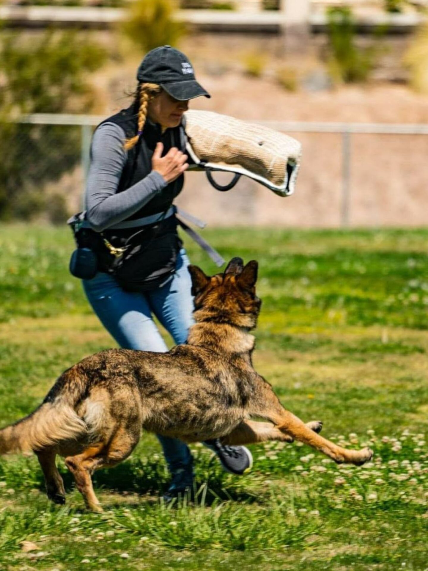 Kristy Moats Foundation for K9 Care